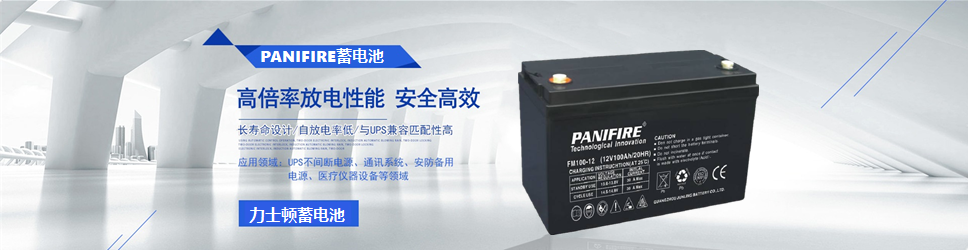 PANIFIRE蓄电池-广东市力士顿电子有限公司